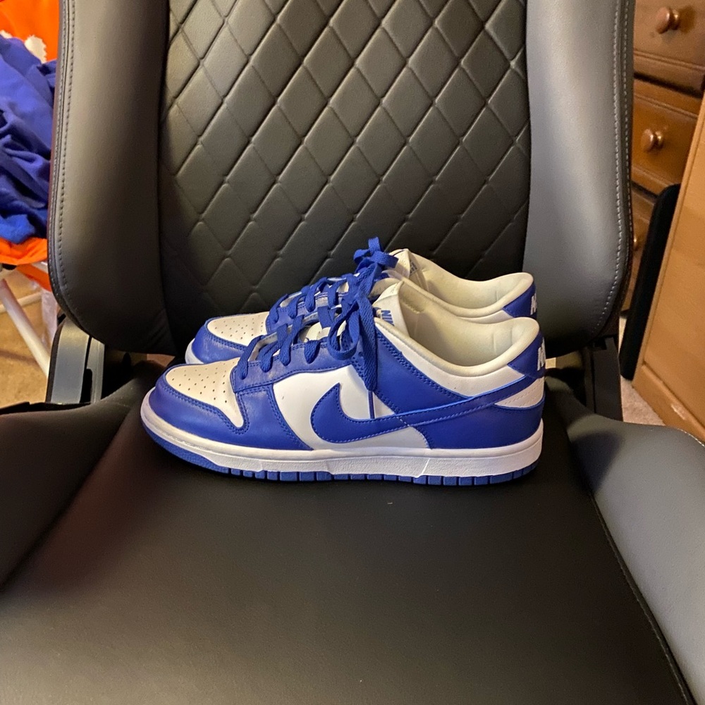 Nike Dunk Low SP “Kentucky” (2020)